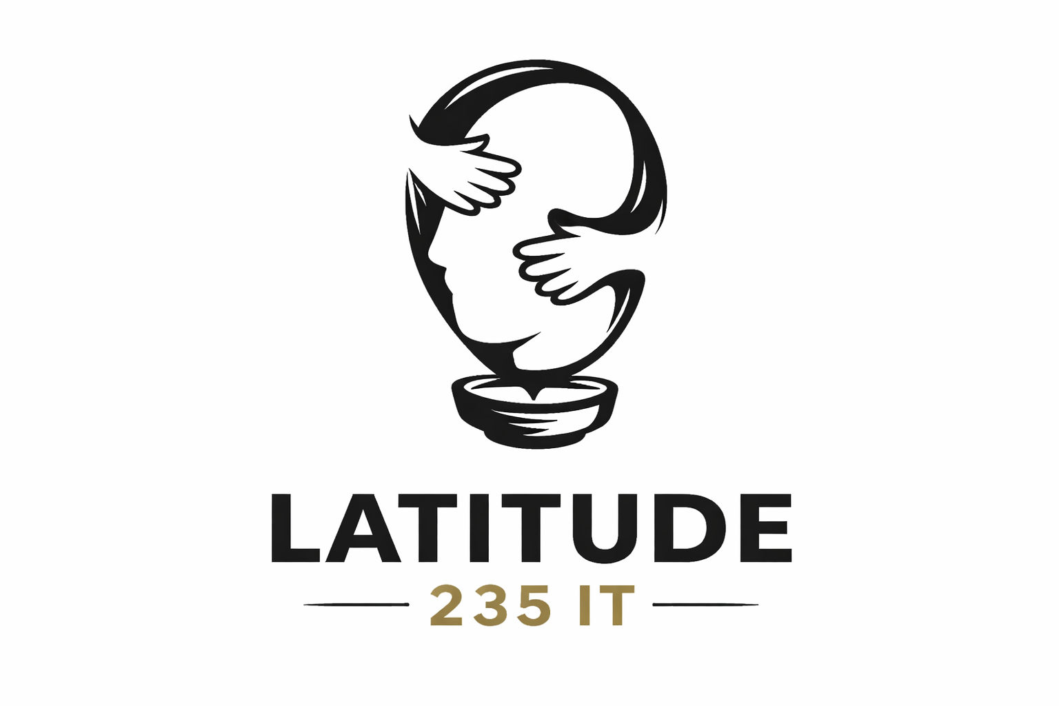 Latitude 235 IT